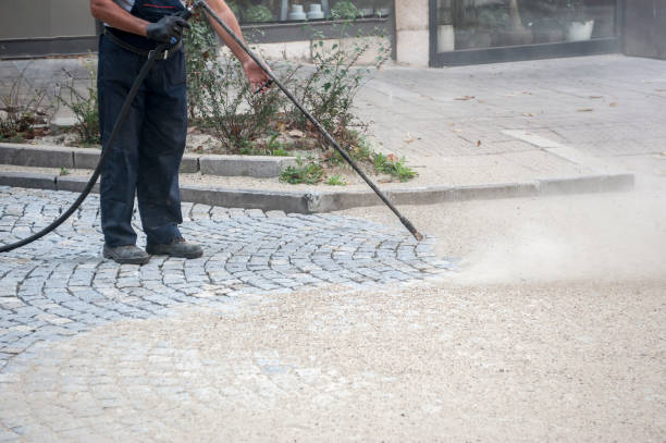 Best Animal Enclosure Cleaning  in Edgewood, TX